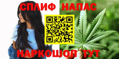 альфа пвп Гусев