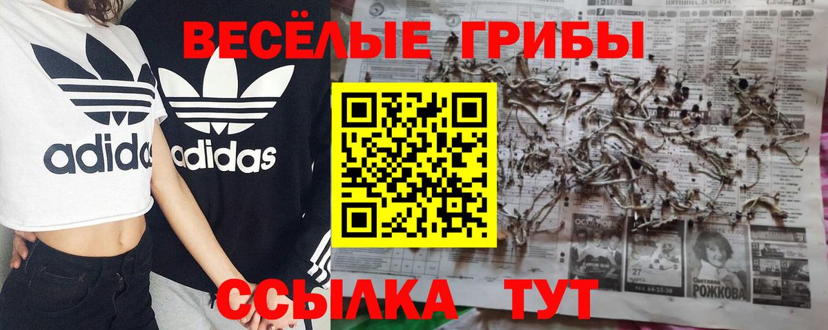 Псилоцибиновые грибы Psilocybe  Вход с VPN  Добрянка 